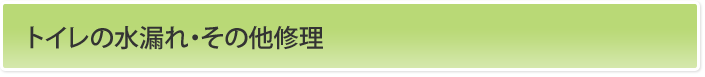 トイレの水漏れ・その他修理